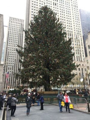 Nueva York en Navidad