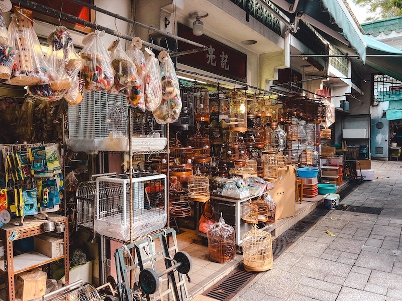 que ver en Hong Kong