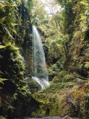 qué ver en La Palma