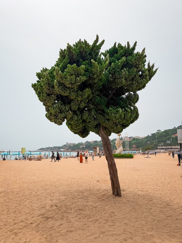 que ver en qingdao