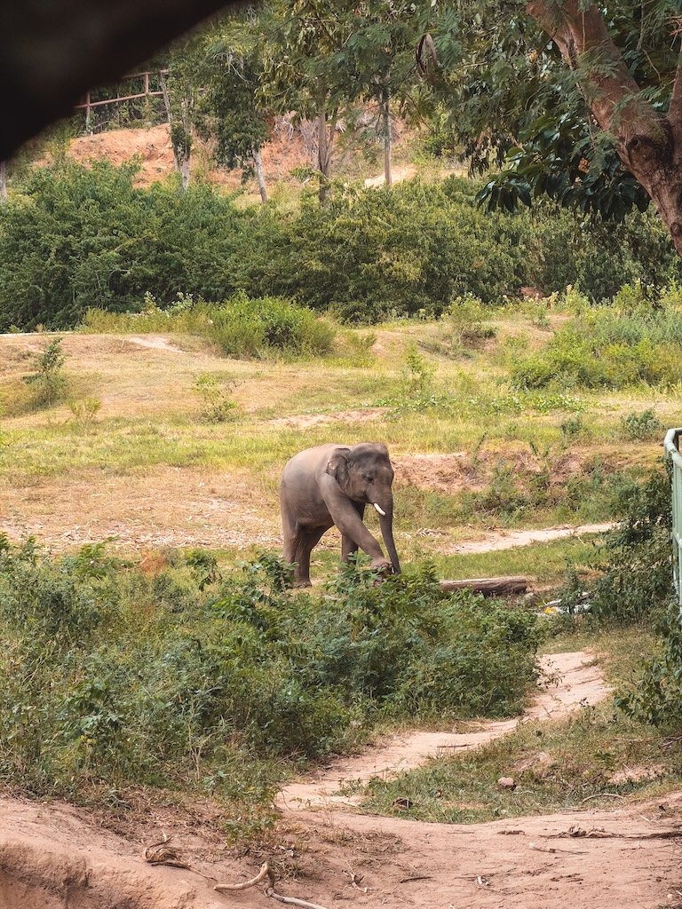 que ver en Koh Samui